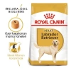 Royal Canin Labrador Retriever Yetişkin Köpek Maması 12 Kg