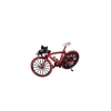 Üreticiniz 7631 Kutuda Model Bisiklet