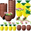 Üreticiniz Ananas&hindistan Cevizi Tasarımlı Pipetli Bardak Seti (6 Adet)