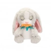 Üreticiniz Baw02000 Sesli Tavşan 20 Cm Peluş