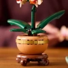 Üreticiniz Botanicals Mini Orkide 10343