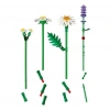 Üreticiniz Botanicals Papatyalar 11508