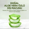 Üreticiniz Doğal Diş Macunu 90 Gr Aloe Vera