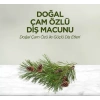 Üreticiniz Doğal Diş Macunu 90 Gr Çam Özlü