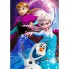 Üreticiniz Ksfrozenpuzzle50parça