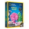 Üreticiniz Natgeo Kristal Bitki Kiti