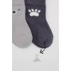 Üreticiniz Nessiworld Bear Penye Soket Çorap 2li Bs10116 Gri