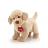 Üreticiniz Peluş Labrador Liam 29 Cm