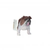 Üreticiniz Soft Sevimli Köpekler Seri 1