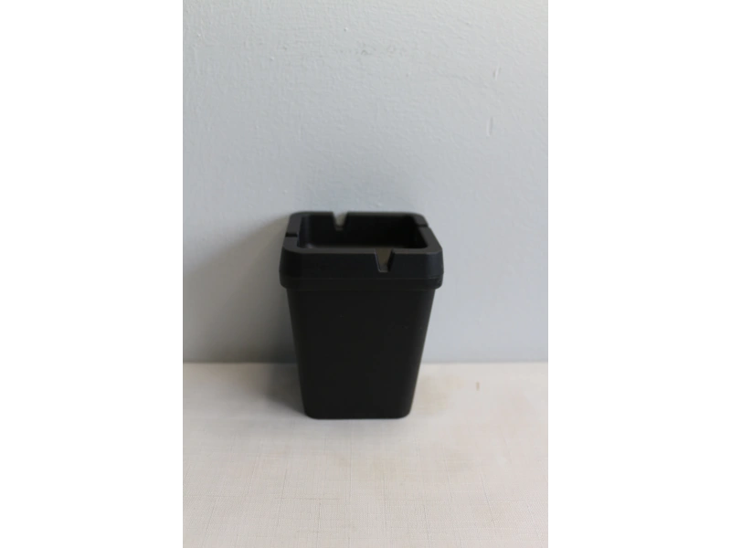 Baroness Kokusuz Küllük Kare 20885