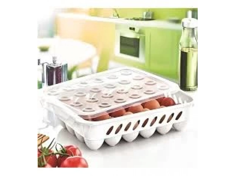 Çankaya Yumurta Saklama Kabı 24 lü