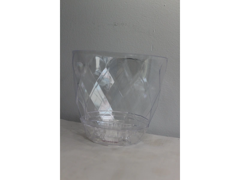 Karasu Yakamoz Orkide Saksı No 3