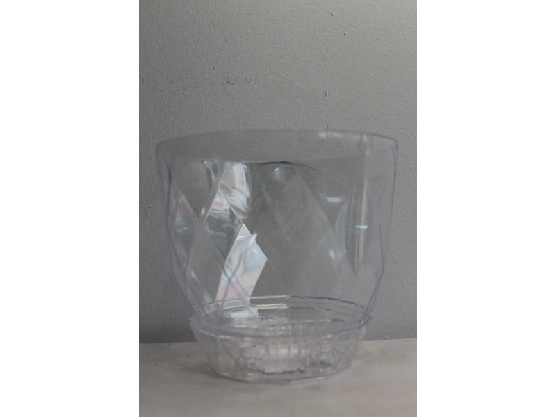 Karasu Yakamoz Orkide Saksı No 3