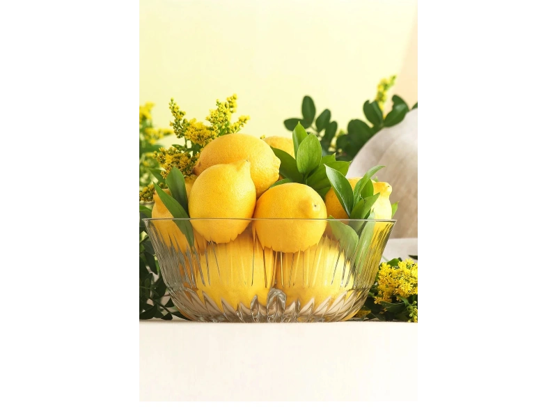 Lav Alinda Tekli Büyük Boy Salata Kasesi