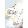 Spiral Yaylı Pratik Yumurta Çırpıcı Tel Karıştırıcı Süt Kahve Köpürtücü Servis Seti