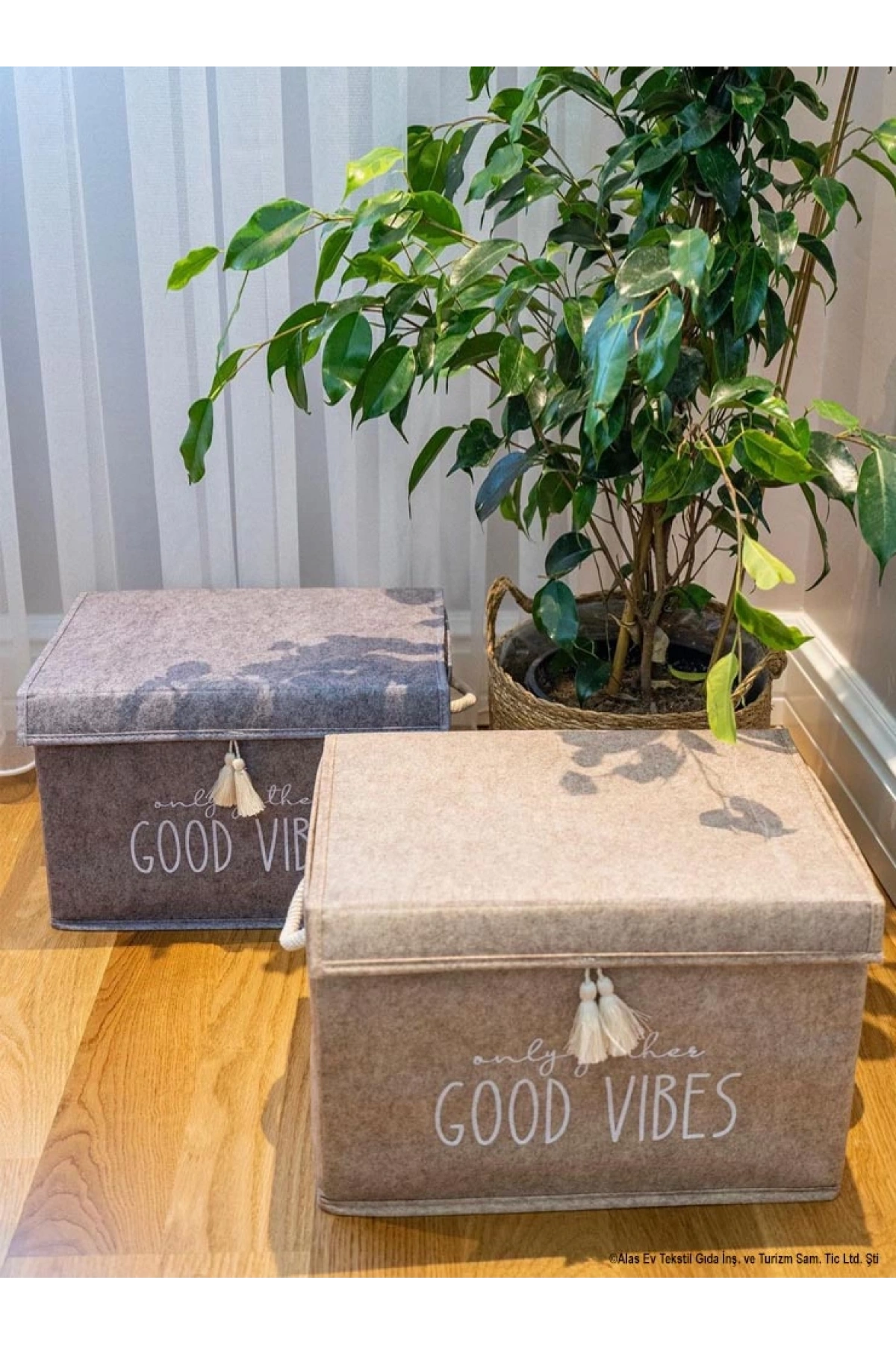 ALAS KEÇE KAPAKLI KUTU MİNİ