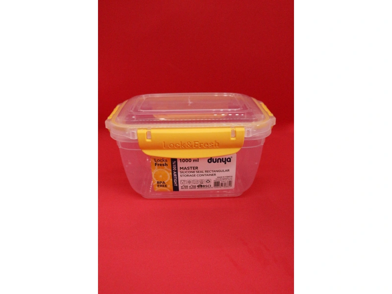 Dünya Dikdörtgen Saklama Kabı