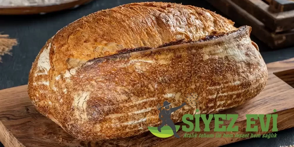 Neden Ekşi Mayalı Ekmek Tüketmeliyiz?