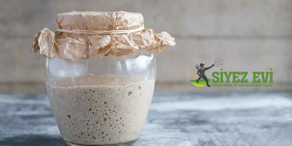 Siyez Ekşi Maya Hakkında Merak Edilenler