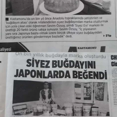 Siyez Buğdayını Japonlarda Beğendi
