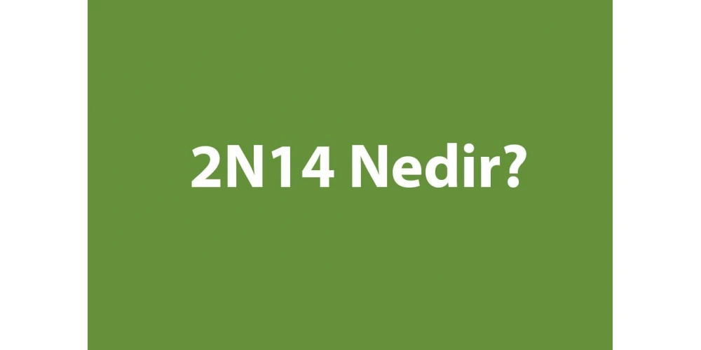 2n14 Nedir?