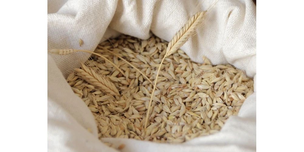 Siyez Buğdayı Nerede Üretilir?