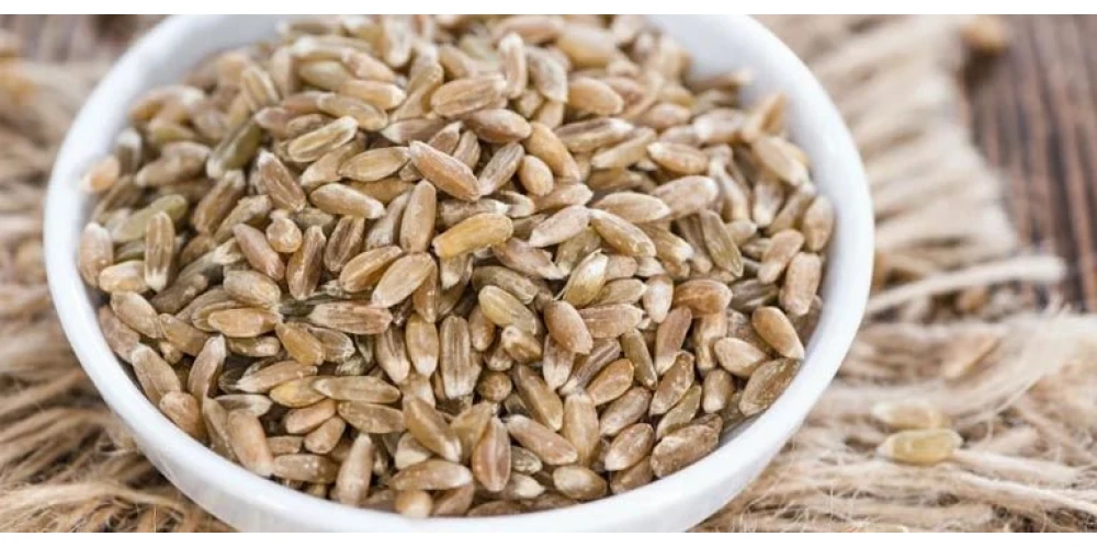 Siyez Bulguru Mercek Altında!