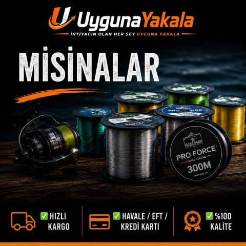 Misinalar