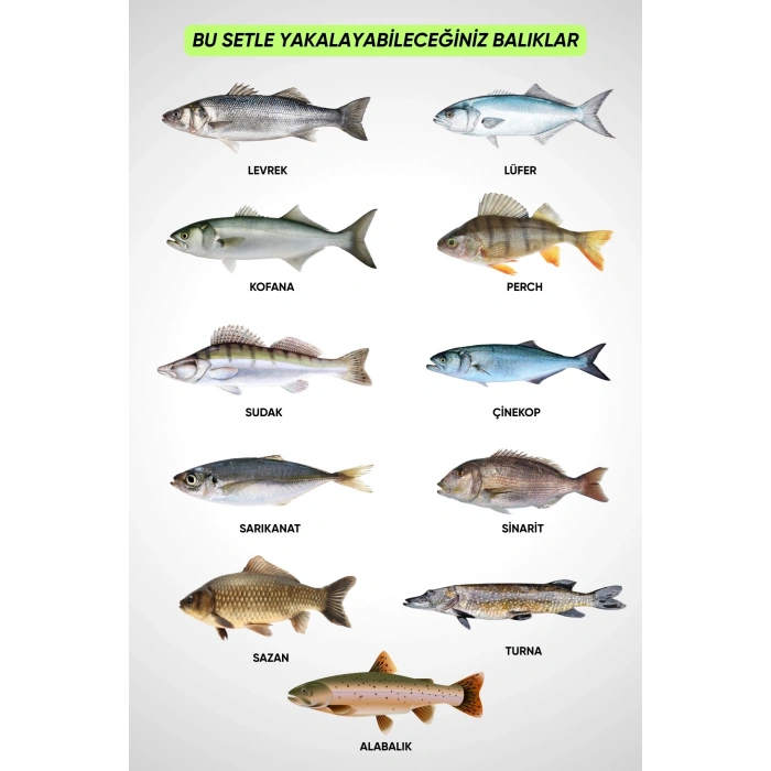 Uyguna-Yakala 35 Parça Tam Takım Olta Seti - 300cm Kamış 30-60GR / 40lık Makine - Tüm Deniz ve Göller İçin