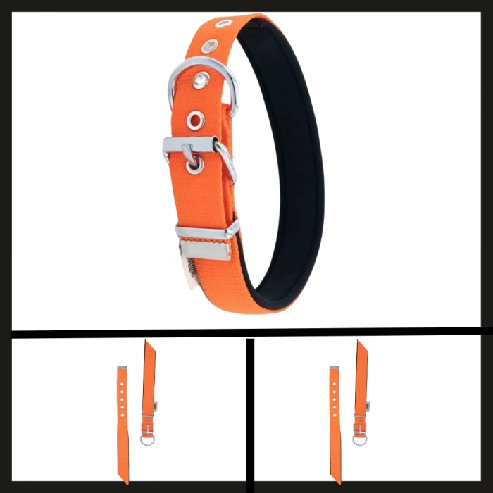 Uyguna-Yakala Turuncu 2.5*37-45 Cm  Dokuma Boyun Tasması-SMA.341