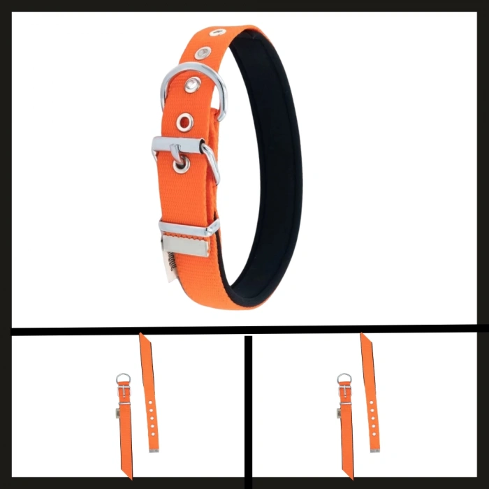 Uyguna-Yakala  Turuncu 2.5*42-50 Cm  Dokuma Boyun Tasması-SMA.345