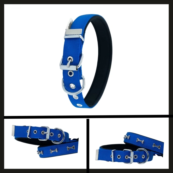 Uyguna-Yakala Royal Blue 2.5*42-50 Cm Dokuma Kemikli Boyun Tasması-SMA.359