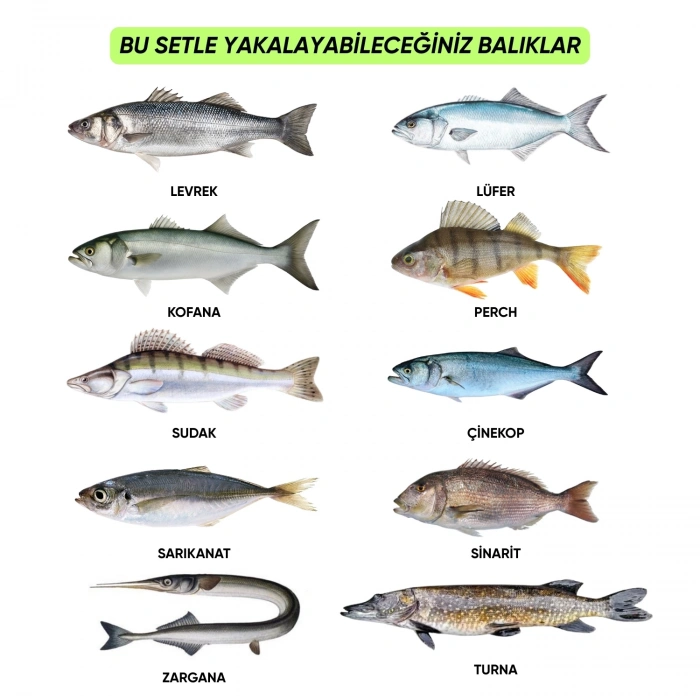 Uyguna-Yakala Silikon Spin At-Çek Yem Seti - 70 Parça - Yem Kutulu - Fishack (2003)