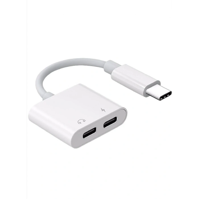 ZR293 Ftac42 Type-C 2 İn 1 Converter Adaptör