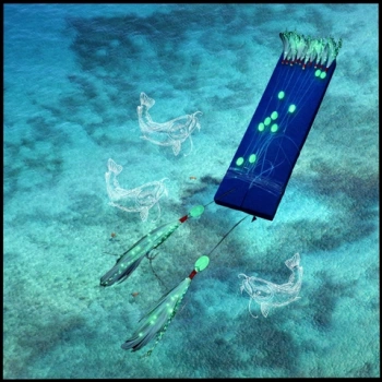 Uyguna-Yakala  On İğneli - Tüylü - Boncuklu Çinekop Çapari Hazır Takımı - AK.174