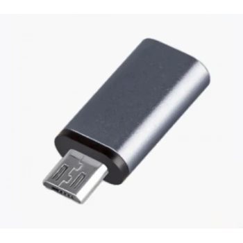 FT Ada22 Type-C To Micro Çevirici Mini Adaptör ZR352