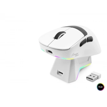 Kablosuz Rgb Mouse Şarj Standlı - Beyaz MF1216W