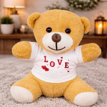 Tişörtlü Sevimli Oyuncak Ayı