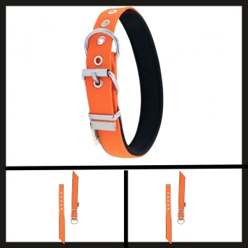 Uyguna-Yakala Turuncu 2.5*37-45 Cm  Dokuma Boyun Tasması-SMA.341