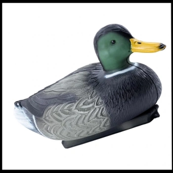 Uyguna-Yakala Erkek- Yüzen Mühre Yeşil Baş Ördek Mühresi - Büyük -HRE.105