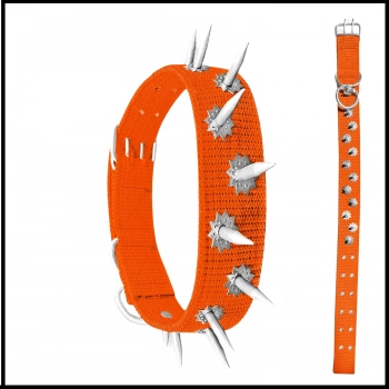 Uyguna-Yakala Turuncu Köpek Boyun Tasması Dokuma Çivili-SMA.519