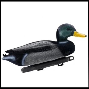 Uyguna-Yakala Tüylü Erkek Yüzen Mühre Yeşil Baş Ördek Mühresi -HRE.084