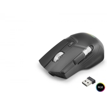 W13 Kablosuz Mouse Dual Mod 10000 Dpi 10 Tuş 1000 Hz Rgb - Siyah