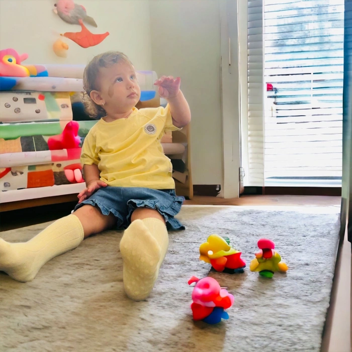 Kukita 6 lı Soket Çorap Seti (Karışık Renkli )