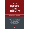 Ceza Hukuku Özel Hükümler Pratik Çalışma Kitabı