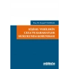 Kişisel Verilerin Ceza ve Kabahatler Hukukunda Korunması