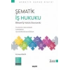 Şematik İş Hukuku Bireysel İş Hukuku Boyutunda