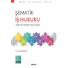 Şematik İş Hukuku Toplu İş Hukuku Boyutuyla