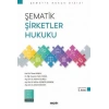 Şematik Şirketler Hukuku