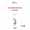 THEMIS – Ceza Muhakemesi Hukuku Konu Kitabı